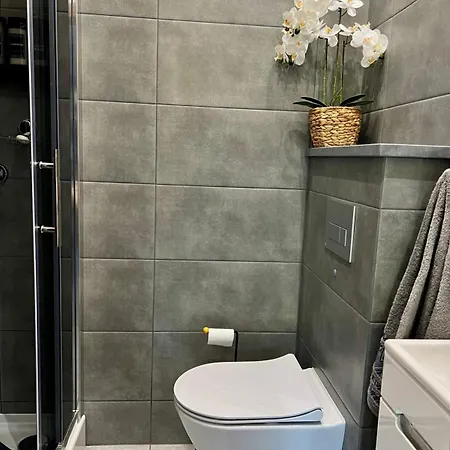 Hoya Hoya * Międzybrodzie Bialskie